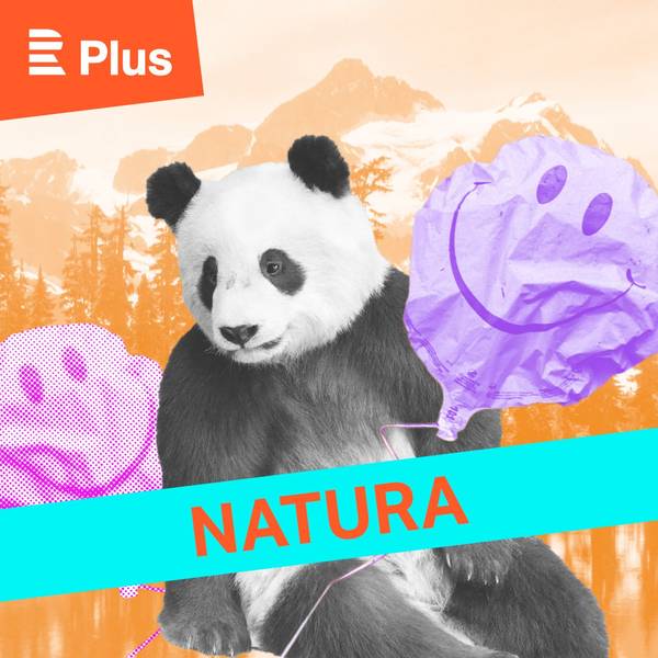 Natura